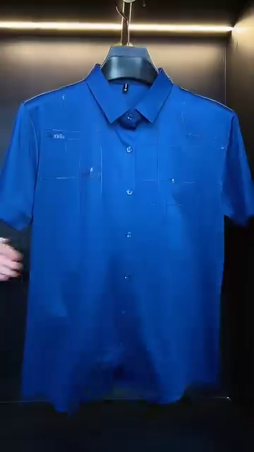 Men Classic Opaque Formal Shirt - Image 2